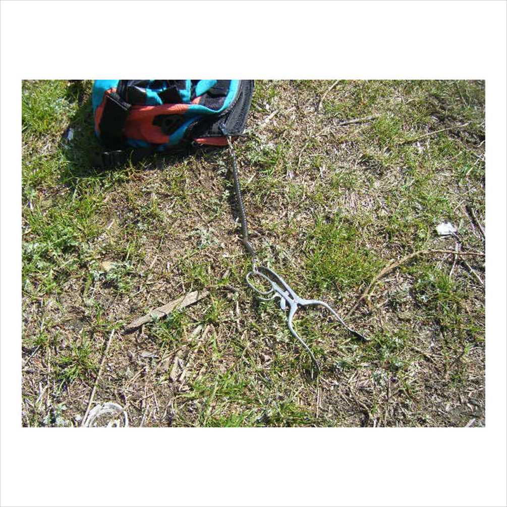 ���ץ�󥰥ۥ���� 25cm Ʃ�� ���ȥ�å� ��� ���� �ե��å� �ޥ��������ץʡ� ����Ϣ��ˡ�