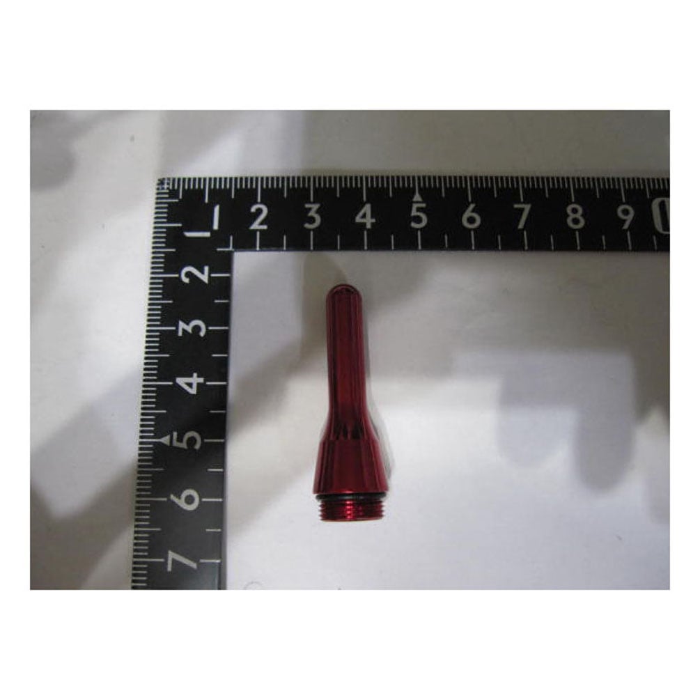 �ġ��֥롼 ���ޤ�� �� �꡼�륹����� ������/���ޥ� ���ޥ�� ���� �ظ����