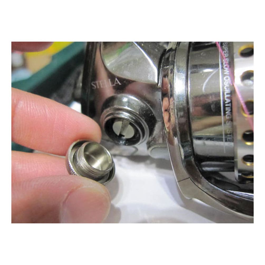 �ġ��֥롼 ���ޤ�� �� �꡼�륹����� ������/���ޥ� ���ޥ�� ���� �ظ����