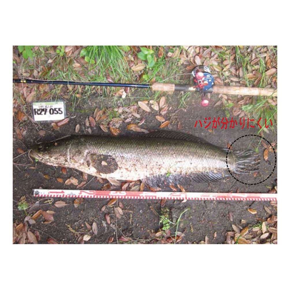  顼 KDS ߥ˥å 2m  饤 եå 90UP ᥸㡼 MN25-02