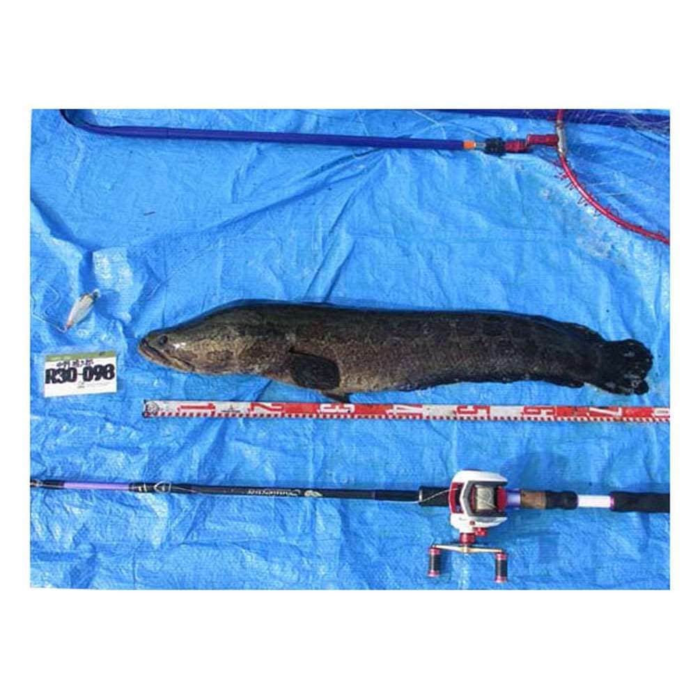  顼 KDS ߥ˥å 2m  饤 եå 90UP ᥸㡼 MN25-02