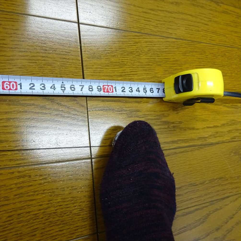 �ԥ󥪥�꡼�� �� ��� �ե��å� �ҥåץХå��� 70cm