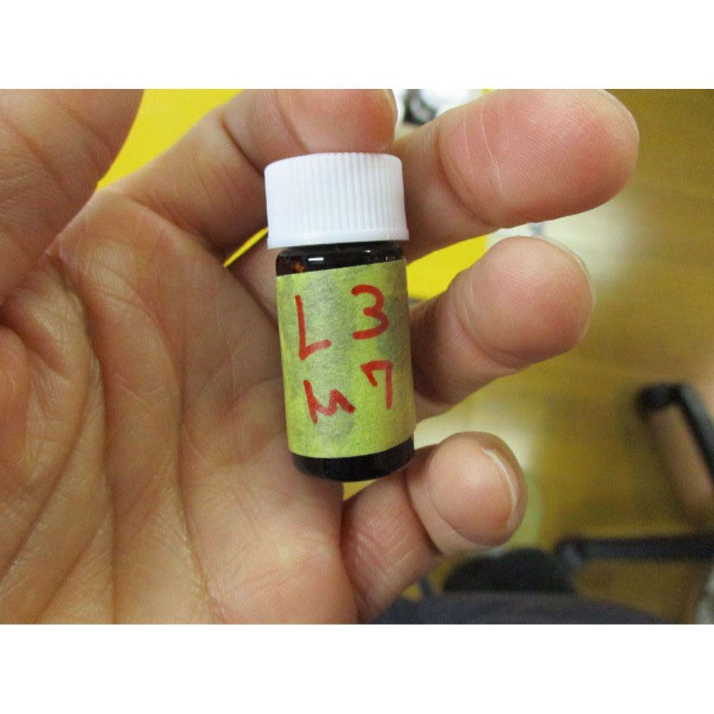 �ޥ������� �إӡ� 1�� ����ή�� ���ѥ��ԡ�������