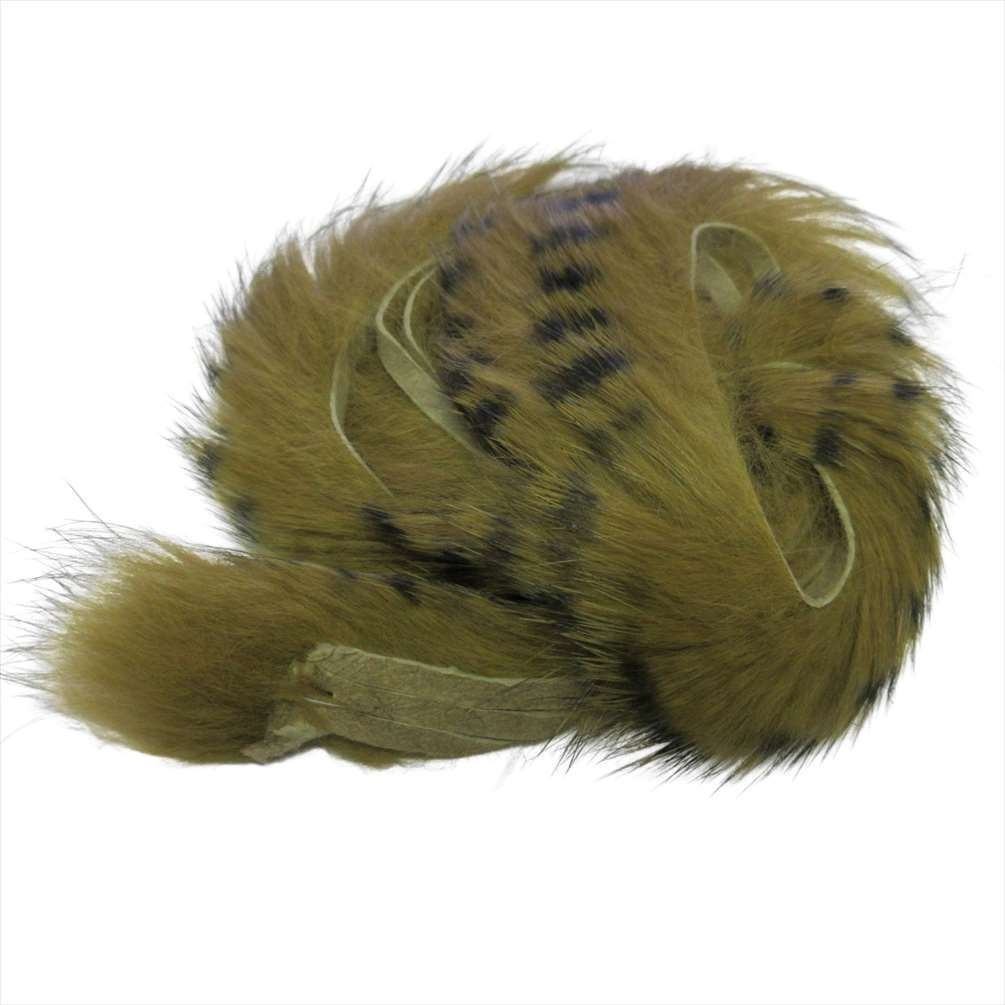 ���󥫡� ����3��5������ ���Х����С����꡼�� ��� �ե饤 �ե��å� ���塼�˥� ��ӥåȥ��󥫡� �ե���