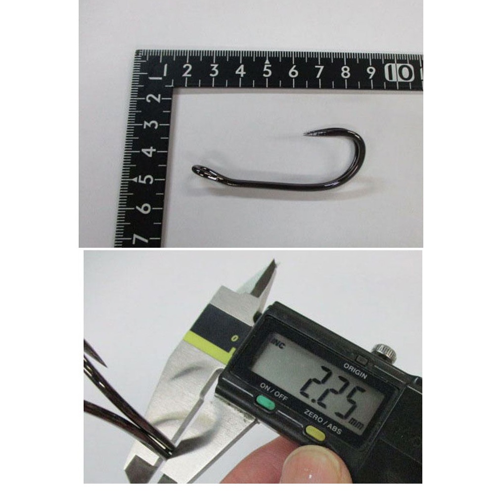 �եå� �����åץ�å���ե����ȥ꡼ �ǥåɥ��ƥ��� 5.5/0XL 1�� ��� �饤���� �ե��å�