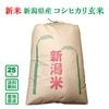 �ڿ��ơۡ�����8ǯ���ۿ��㸩�� �����ҥ��� 25kg(����)������̵��(�����ϰ�����ˡ�