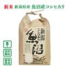 �ڿ���ͽ��ۡ�����8ǯ���ۿ��㸩����»� �����ҥ��� 5kg������̵���ʰ����ϰ�����ˡ�