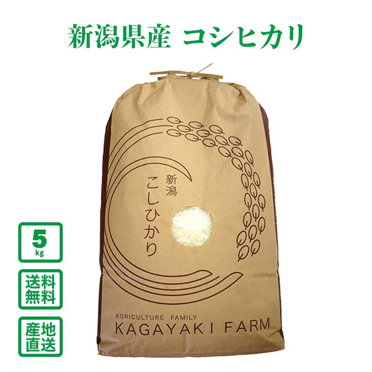 ������7ǯ���ۿ��㸩��  �����ҥ���5kg������̵��(�����ϰ����)��
