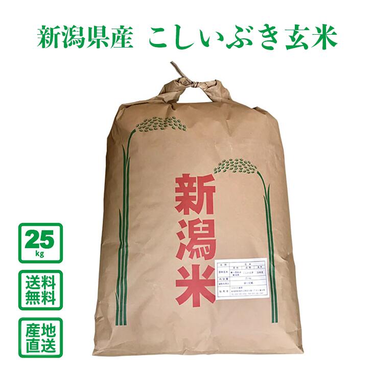 ������7ǯ���ۿ��㸩���������֤� 25kg�ʸ��ơˡ�����̵���ʰ����ϰ�����ˡ�