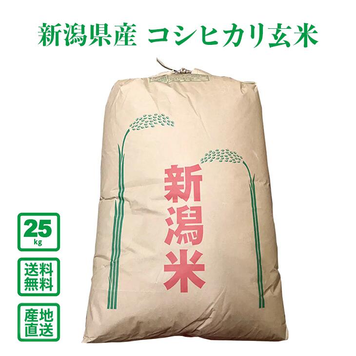 ������7ǯ���ۿ��㸩��  �����ҥ��� 25kg�ʸ��ơˡ�����̵���ʰ����ϰ�����ˡ�