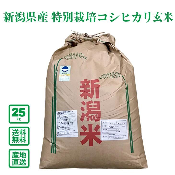 ������7ǯ���ۿ��㸩�� ���������̺��ݥ����ҥ��� 25kg�ʸ��ơˡ�����̵���ʰ����ϰ�����ˡ�