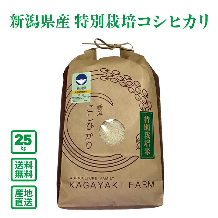 ������7ǯ���ۿ��㸩�� ���������̺��ݥ����ҥ��� 25kg�����ơˡ�����̵���ʰ����ϰ�����ˡ�