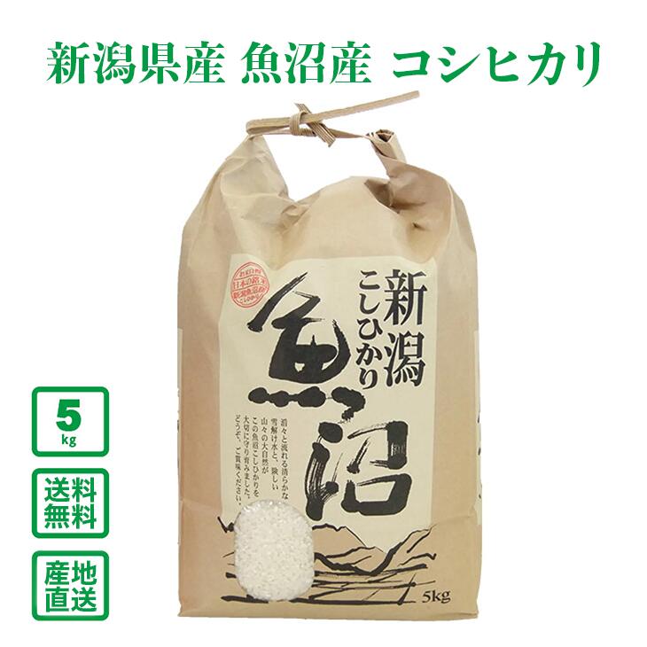 ������7ǯ���ۿ��㸩 ����»� �����ҥ��� 5kg������̵��(�����ϰ����)��