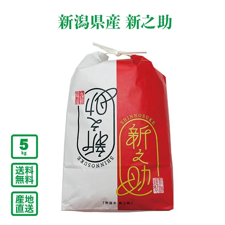 新潟県産新之助5㎏×2袋（令和6年産）