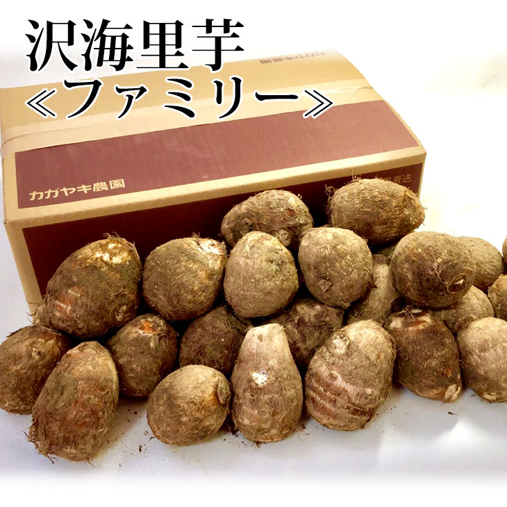 ͽۤͤäȤäꡡΤ̥եߥ꡼ 4kgMʾ ̵(ϰ)ۡߥեȡ