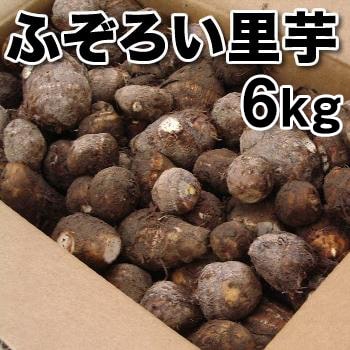 予約】ふぞろい里芋 6kg ねっとりとした食感とさといもの甘みが美味