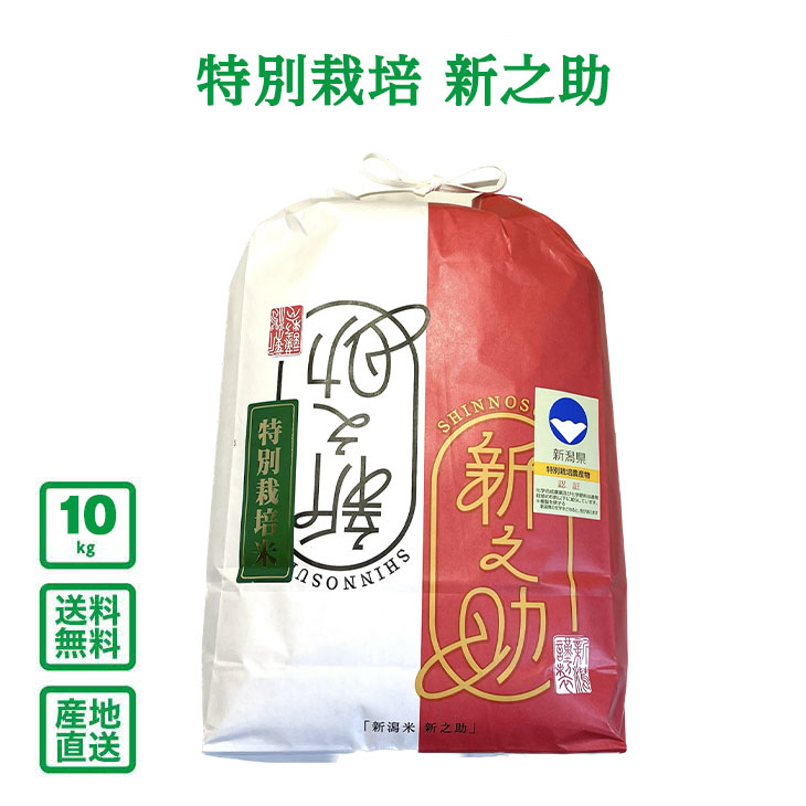 ������7ǯ���ۿ��㸩�� ���̺��ݿ�Ƿ�� 10kg��5kg��2�ޡˡ�����̵��(�����ϰ����)��