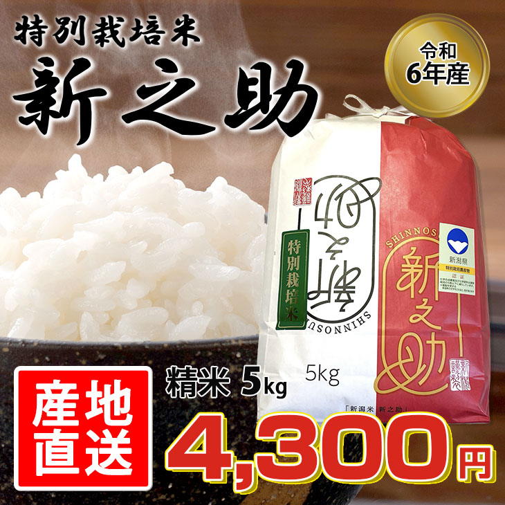 【未熟米ブレンド】令和6年　新潟県産 新之助 20キロ　白米 令和6年度産 新潟県産 新之助 白米 20kg