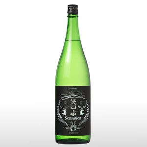 �л͵� Sensation����٥� ���� 1.8L