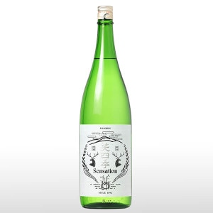 �л͵� Sensation���٥� ���� 1.8L