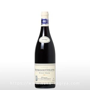 �֥르���˥� ������ �ɡ��� �ԥ� �Υ�� 2022 �ɥ᡼�� ����� �ޥ꡼ �֥�����