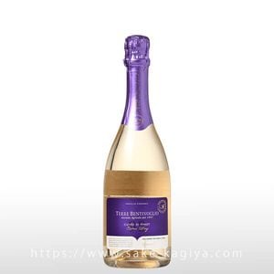 ƥå ٥ƥꥪ  ǥ ԥ ץޥ ȥ ɥ饤