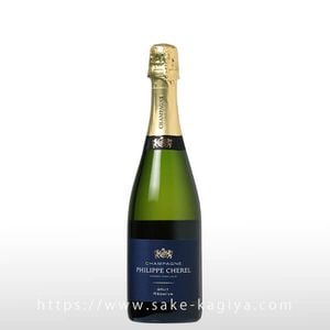 �ե���å� ������� �����ѡ��˥�