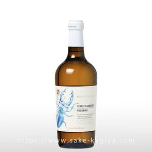 ƥ ȥå ڥ꡼ BIO 󥻥åƥ