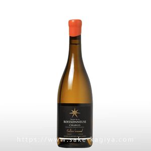 ����֥� �ܥ�å��̡��� 2023 ����ꥢ�� �֥�������