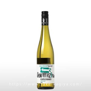 󥷥ԡ ĥȥߥ͡ QBA ڡ ƥ