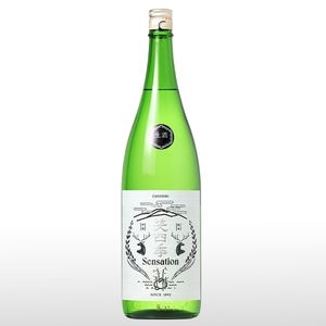 �л͵� Sensation ���٥� ������ 1.8L