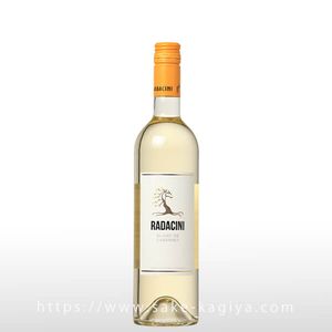 ��������� �֥�� �� ���٥��