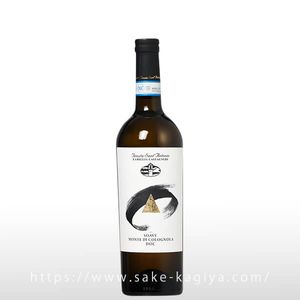 ���󥢥�ȥ˥� ���������� ���� �ǥ� �����˥硼��