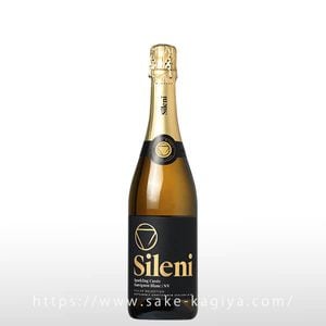 ���ѡ������ ������� ���������˥�� �֥�� ���졼�� �����ơ���