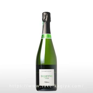 �ɥ����� �� �ե��� �ʥ��塼��