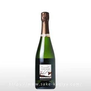 �ԥ����� ���� �� �ե��� �֥�� �� �֥�� �֥��å� ����� ����� �Σ�