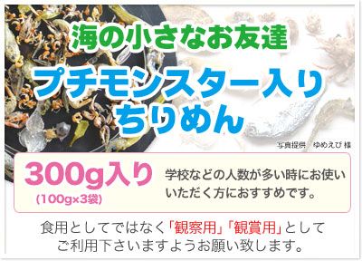 �ץ���󥹥������������ 300g(100g��3��)