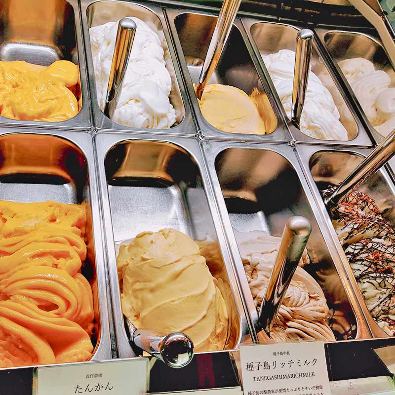 HOPE ηäߤäѤ顼6ĥåȡ