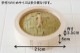  ɰ(ҤΤ/) ڤ 21cm 饻å<br>[IHб 2 դ1]
