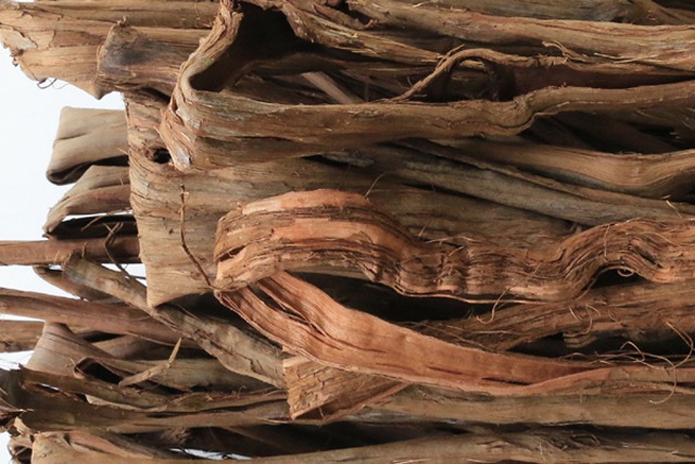 �񻺤�ޤ֤ɤ�̢��1kg<br>�����������٤�������¿������äƤ��ޤ���<br>���̻�<br>(��)Ĺ��70��140cm<br>(��)��1��5cm