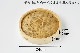  ڤ 24cm 饻å<br>[IHб 2 դ1]