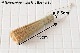 ���� ������ ��Ĺ��15cm<br>(ɳ�դ�/�ߤ겼����ǽ)
