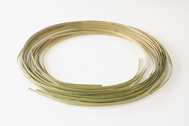 �ݤҤ�10���Ȥ�<br>(��)��8mm<br>(��)Ĺ��2.6m