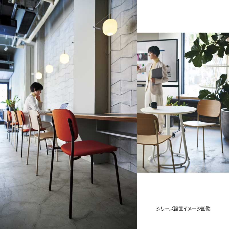 ˥󥰥 ץ ե ե Ƥ䤹 ĺ¥ Ź޲ȶ ̳Ѳȶ poplar