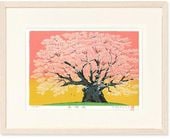 ����  �Ȳ�����Ϻ  ���̡���֡� �ǲ� ����ƥꥢ