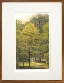  ǲ衡ۥեʡ˥塼衼ܥ˥륬ǥʲ衡ƥꥢ