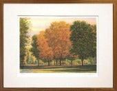   ۥեʡեȥ顼  ǲ  ƥꥢ  ʲ