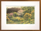   ۥեʡ꡼⡼˥  ǲ  ʲ衡ƥꥢ