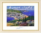  ʲ衡꡼ϥࡦ󥦥륤󥰥ɡ  ƥꥢ