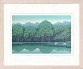 衡̦󤤸ʡȡƥꥢʲ